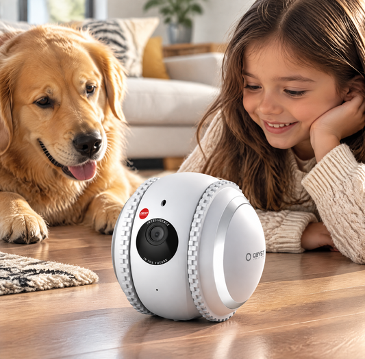 PetPal Interactive Robot – Your Cat's Ultimate Companion and Monitor