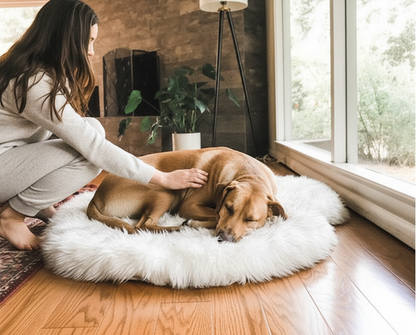 Faux Fur Orthopedic Dog Bed for Support