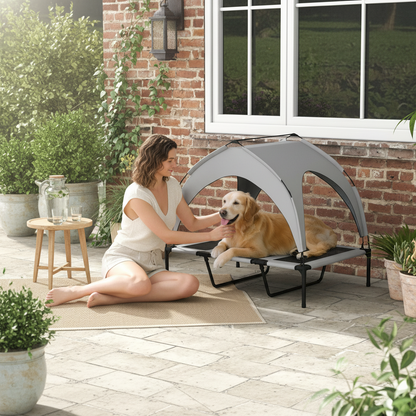 Elevated Outdoor Dog Bed with Canopy