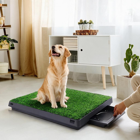Dog Grass Pad with Tray 25" x 20" Dog Grass Potty Tray Indoor Dog Potty for Puppy Training Reusable Artificial Pee Grass Pad Tray for Dogs Outdoor Dog Toilet Pet Loo 3-Layer System