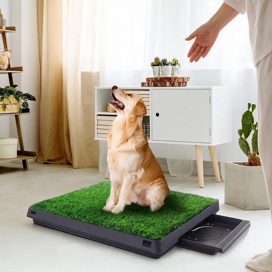 Dog Grass Pad with Tray 25" x 20" Dog Grass Potty Tray Indoor Dog Potty for Puppy Training Reusable Artificial Pee Grass Pad Tray for Dogs Outdoor Dog Toilet Pet Loo 3-Layer System