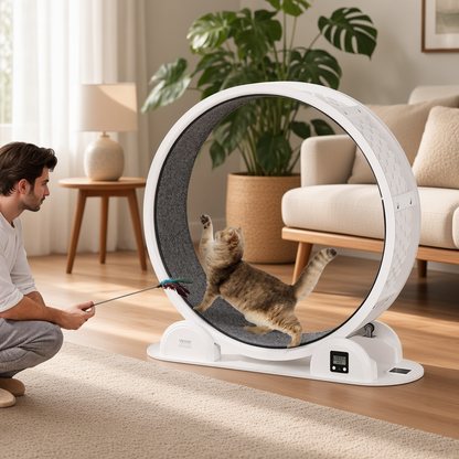 Cat Exercise Wheel with Pedometer