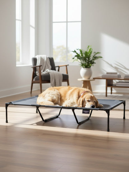 Elevated Portable Pet Bed for Dogs